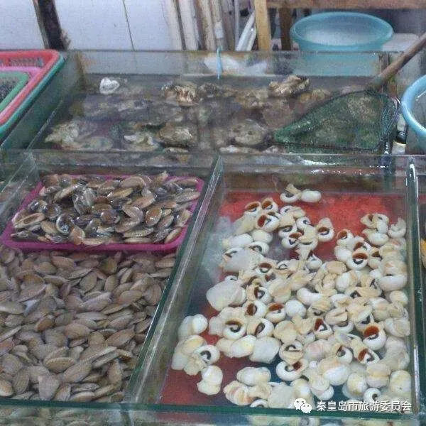 秦皇岛海鲜推荐,秦皇岛推荐海鲜