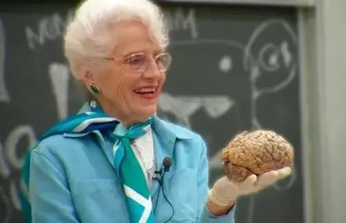 爱因斯坦解剖大脑全过程,解剖爱因斯坦大脑全过程
