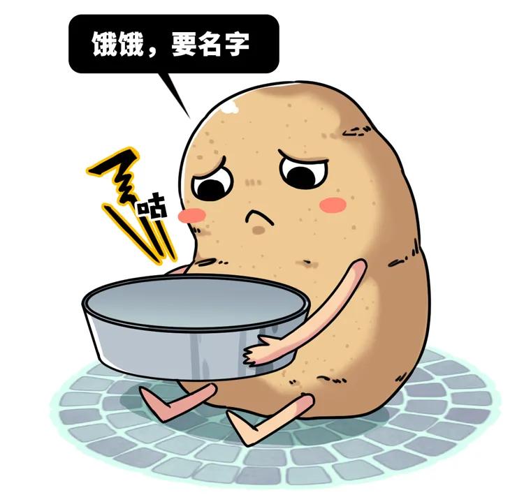 一个马铃薯能做什么,一个马铃薯可以做什么