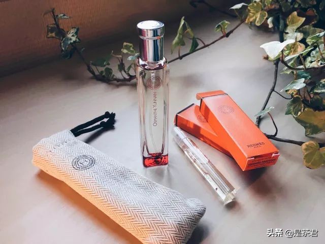 茶也可以做香水？get这一款，茶系仙女轻松修炼