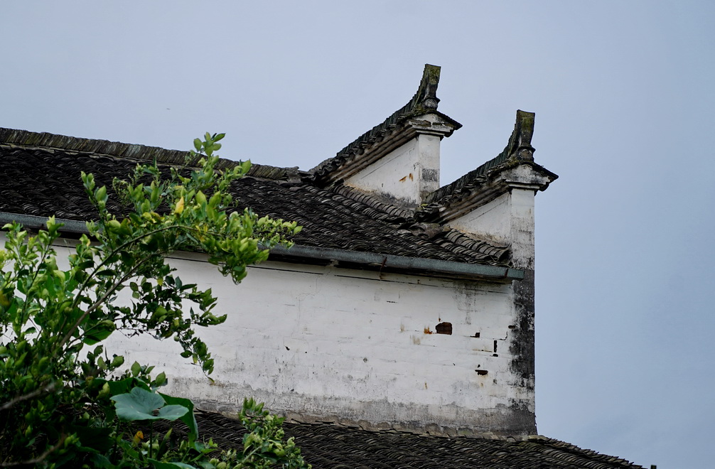 婺源看惯了大城市的繁华,婺源有个徽派建筑景区