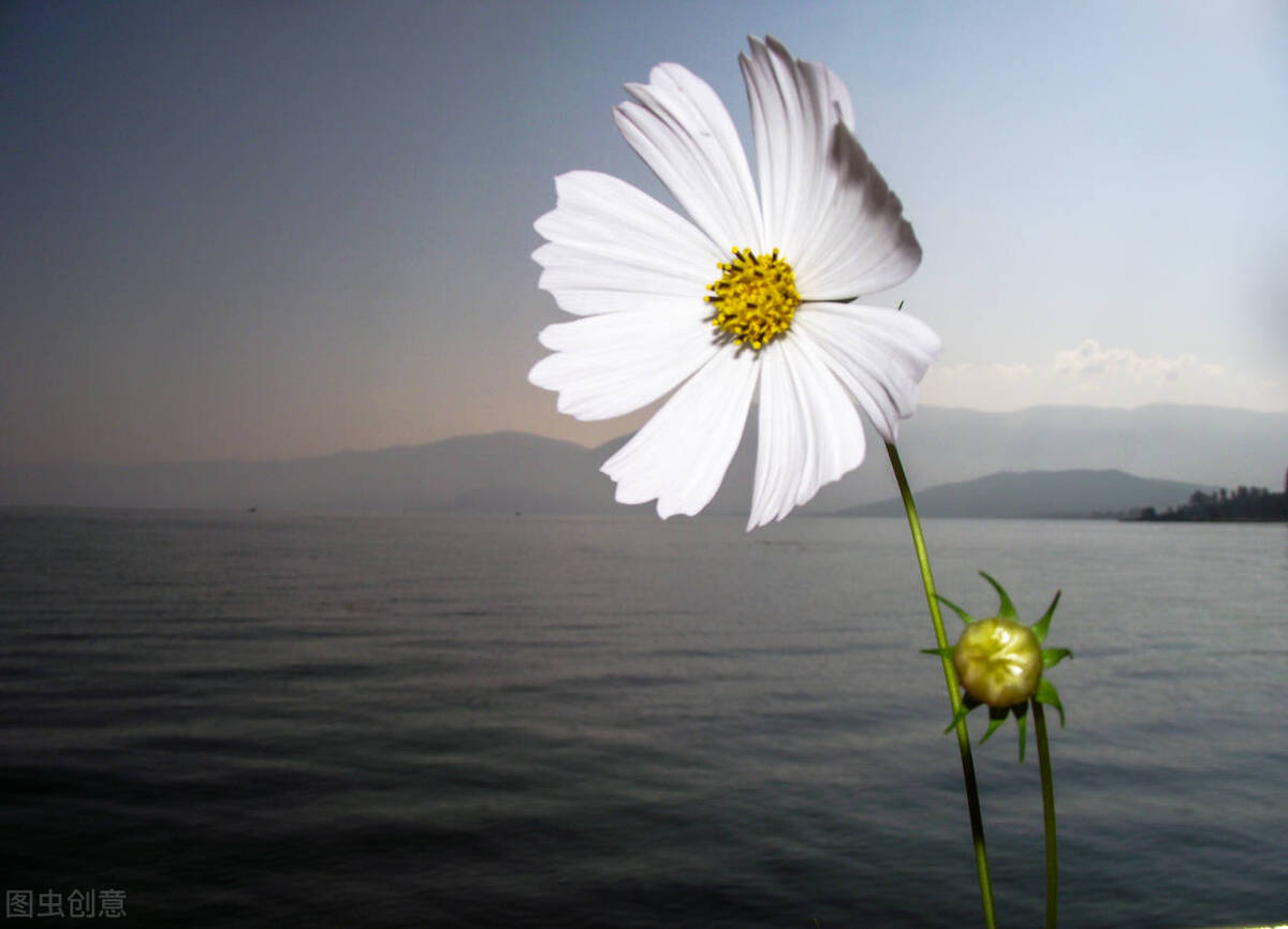 非暴力沟通的奥秘,非暴力沟通的4个智慧