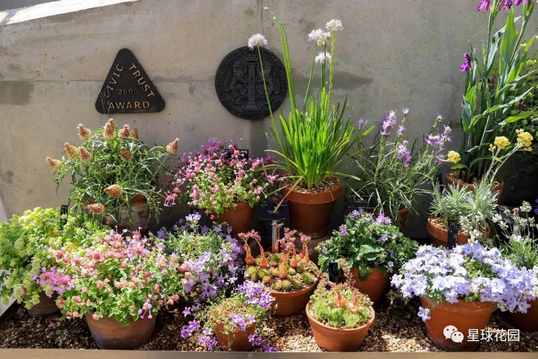 二木带你游花园|邱园（kewgarden）离我们到底有多远？