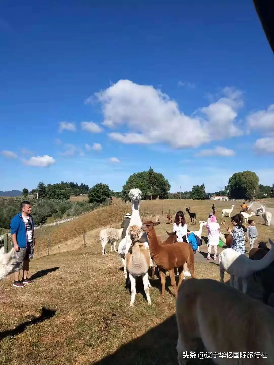 看世界震撼视频,看世界的震撼