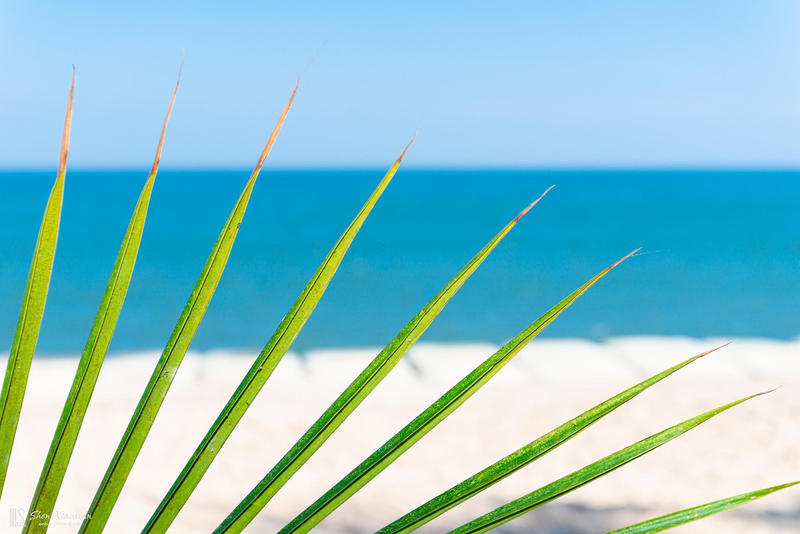 手握这份曼谷攻略玩转不用愁,泰国曼谷吃喝玩乐全攻略