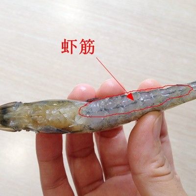 虎皮虾的正确处理方法,虾的正确处理方法和做法视频