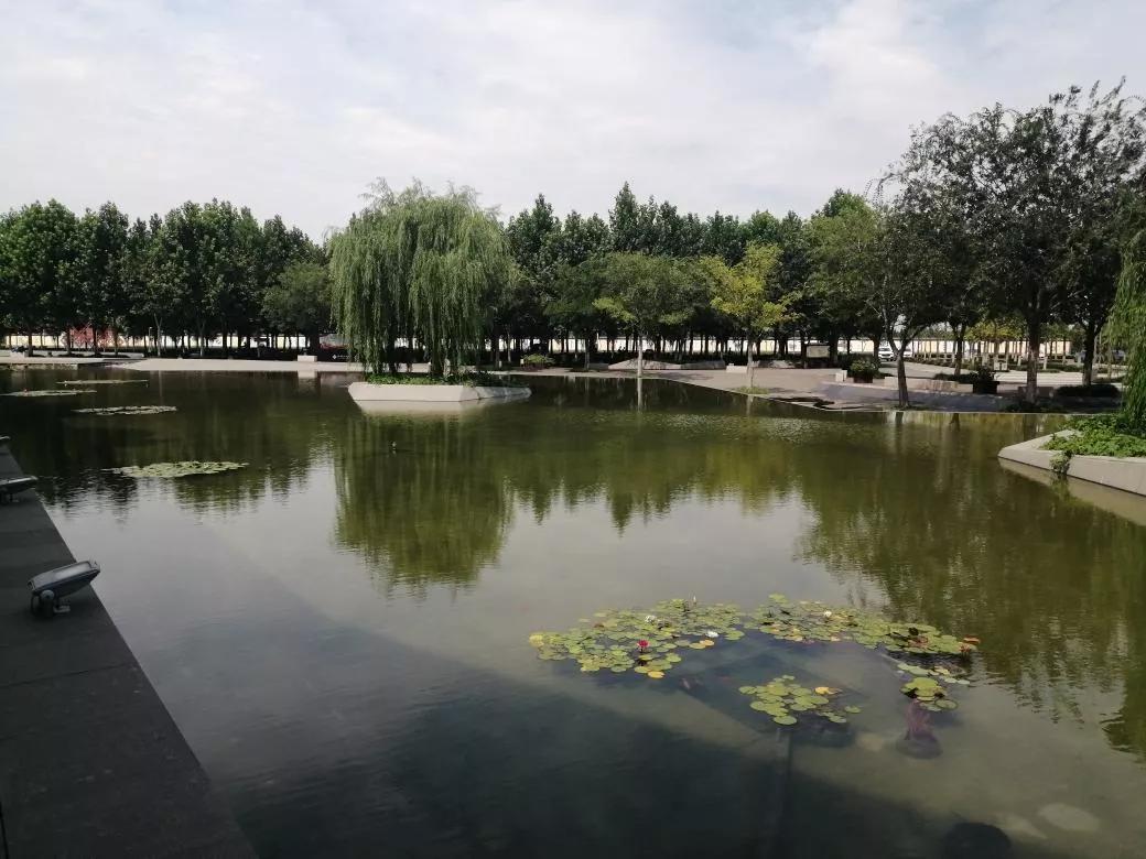 淄博之旅博物馆篇,与我一起去旅游完整版