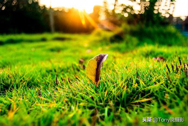 降温了手机摄影,降温了可以拍什么视频