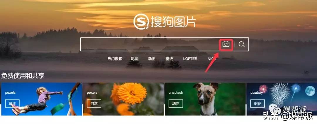 全网站最全识图工具,哪个识图软件比较强大