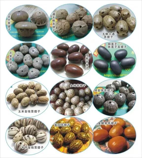 买菩提推荐款式,缅甸菩提什么款式好