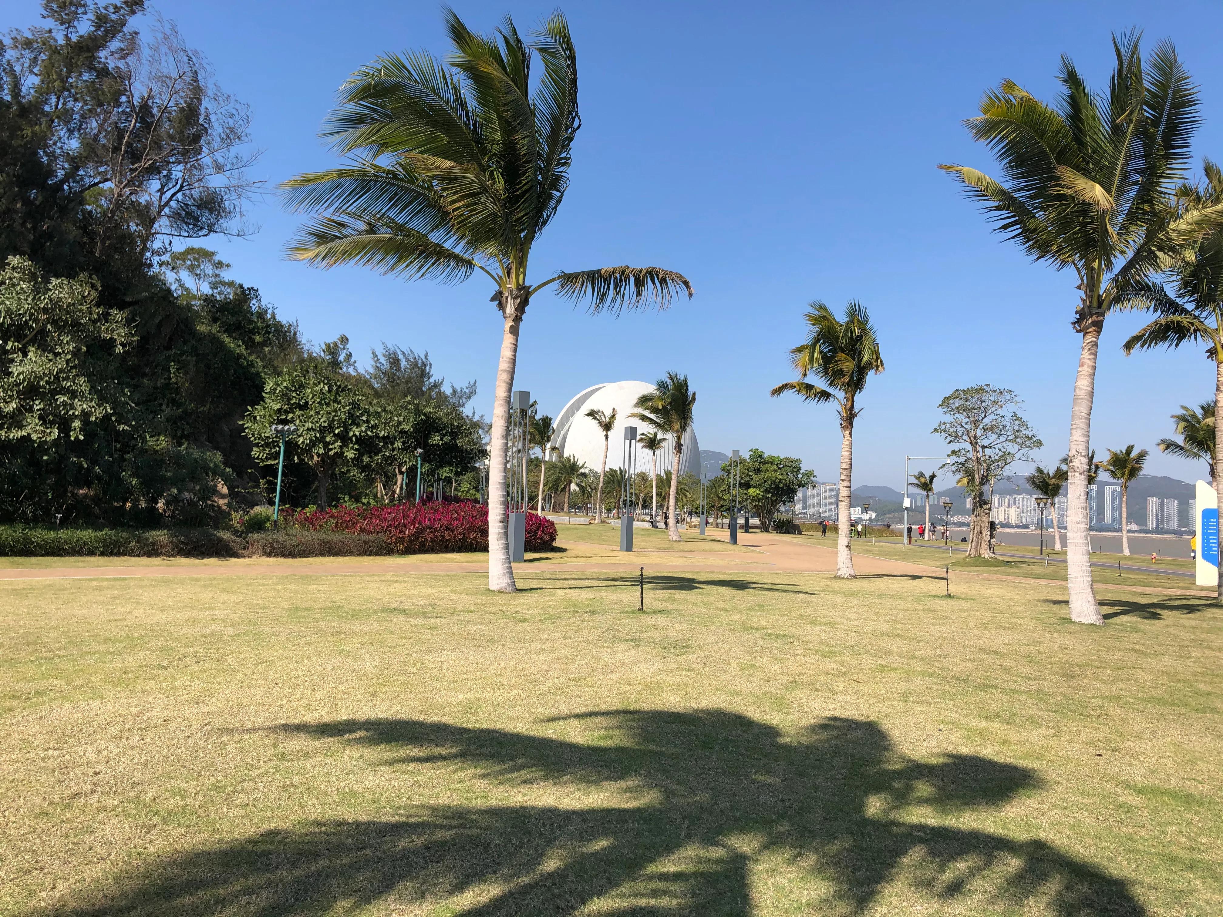 珠海野狸岛要门票吗,春节珠海野狸岛旅游