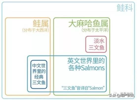 挪威三文鱼年产量多少,挪威三文鱼销售第一名