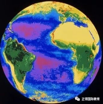 化学与生物的联系紧密吗,化学与生物技术的关系