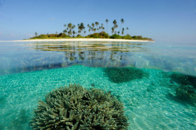 坐飞机去度假酒店,坐飞机去杭州住宾馆