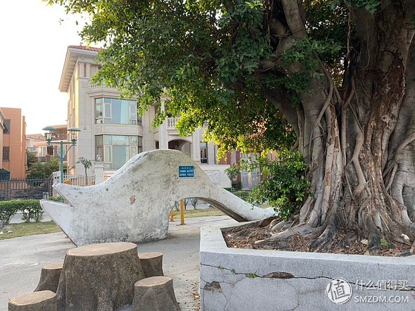 iphone8p和iphonexr谁更好,iphone8p和iphonexr哪个更好用