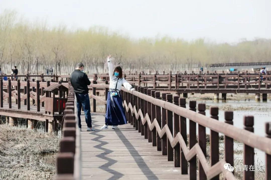 天津2022年四月开放的公园,天津北辰郊野公园现在开放吗