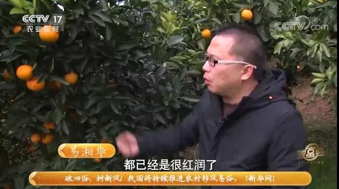 湘潭易湘华,湘潭县易湘华