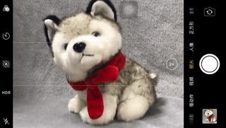 华为p40相机怎么设置拍照效果好,如何用华为手机拍照出好看的照片