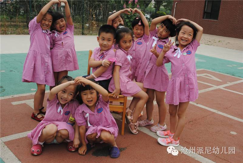 沧州派尼幼儿园学费,派尼幼儿园学费