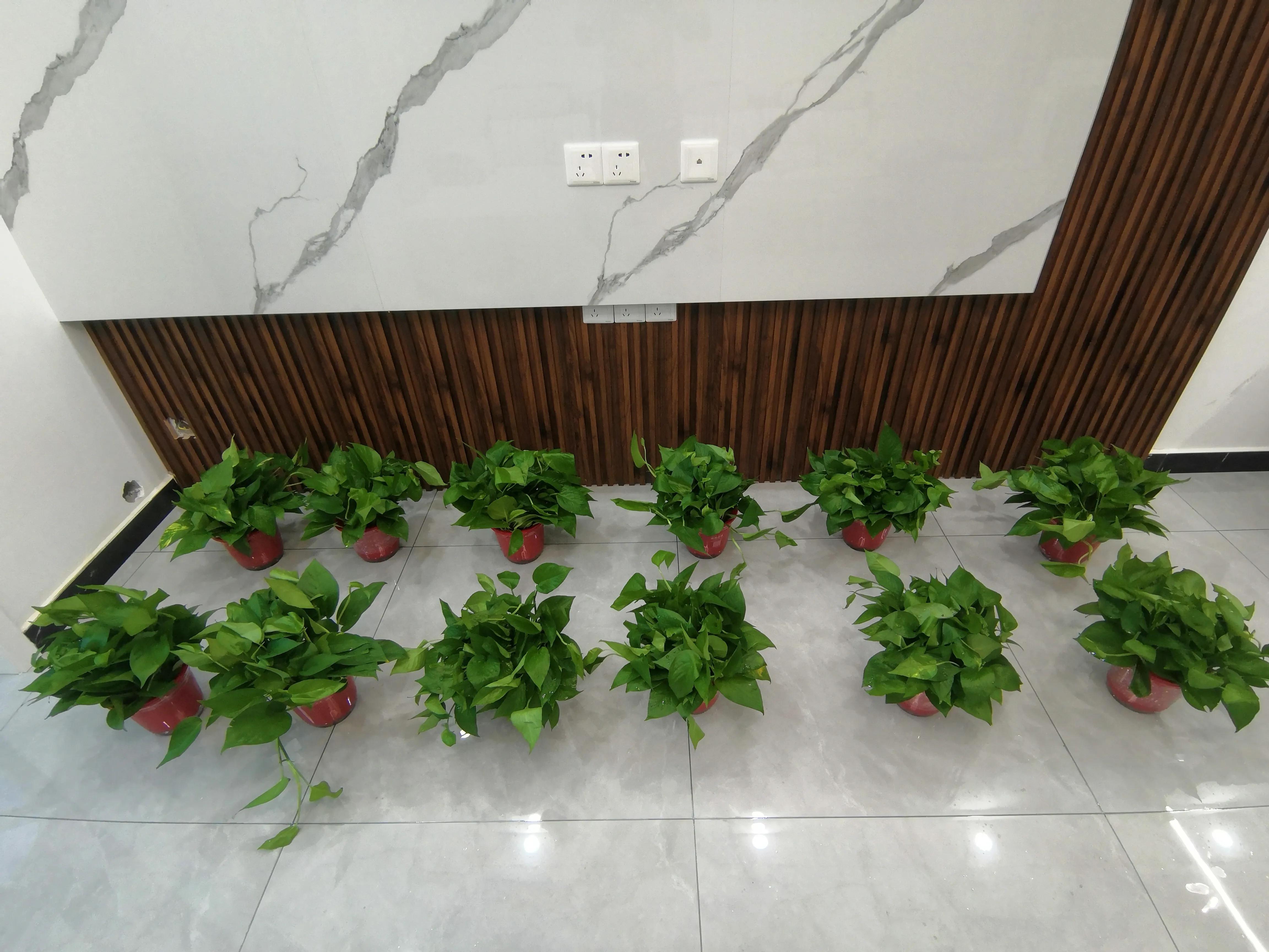 新装修房子开地暖可以除甲醛,新装修房子如何除甲醛