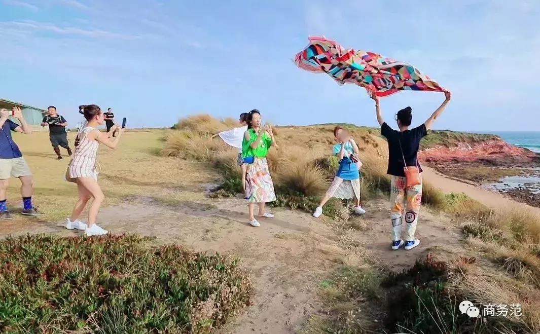 袁咏仪戴劳力士,袁咏仪卡地亚珠宝图