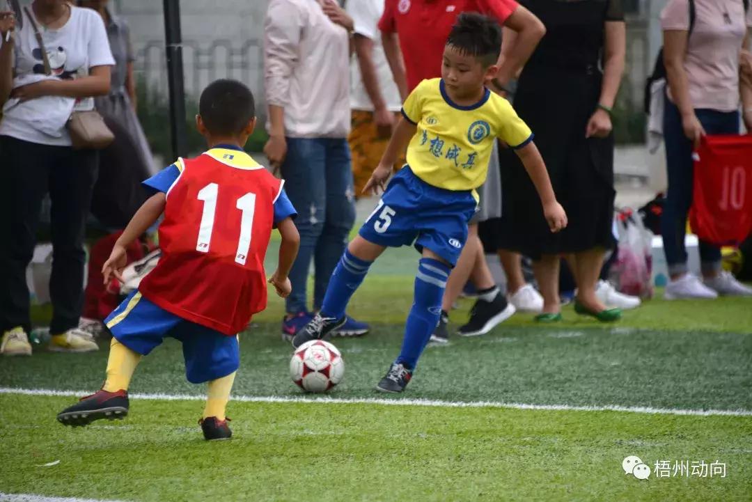 足球训练营公益,足球训练公益项目