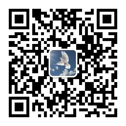 买来的老鸽子要怎么养才不会飞走,初养鸽子你要准备的几样东西