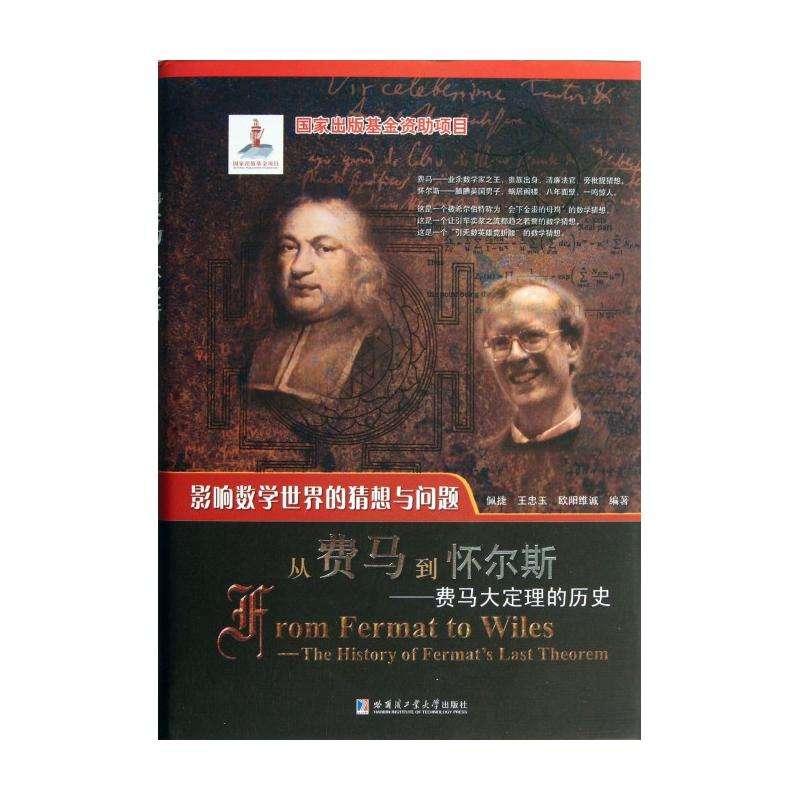 怎么才能看懂怀尔斯的费马大定理,费马大定理怀尔斯历程
