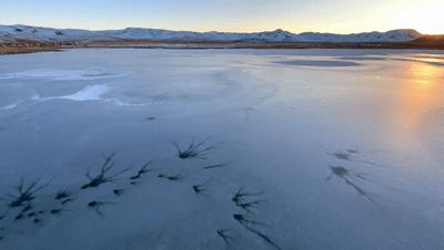 iphone13拍照技巧有哪些,全网最全iphone13系列拍照指南