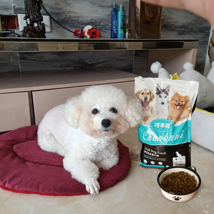 纽顿狗粮全面测评，到底怎么样？