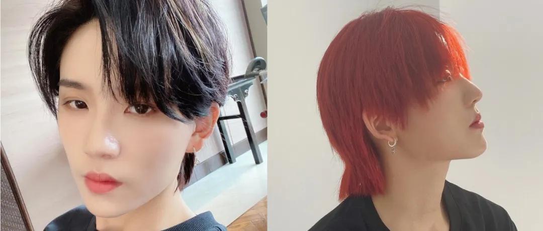 施华蔻被罚,施华蔻自己染头发靠谱不