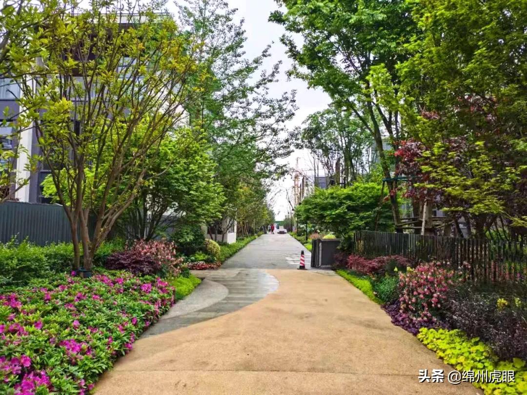 绵阳2021交房的高品质楼盘,绵阳各区域的高端楼盘