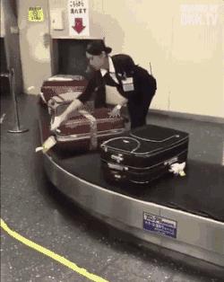 去日本选什么专业,去日本选择哪个航司