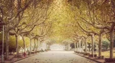 南师大马拉松开幕式,最美南师