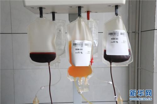 世界血友病日科普动画视频,世界血友病日什么是血友病