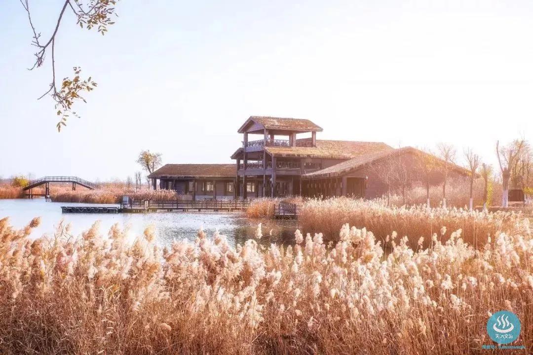 天津光合谷温泉,品牌故事天津