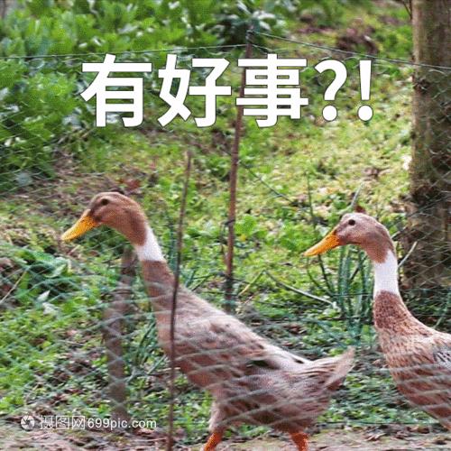 “客服”小姐姐和你“共享屏幕”？当心你的钱包！