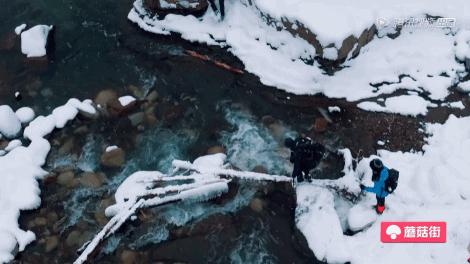 欧洲治安最好城市排名,欧洲环境治安都好的国家