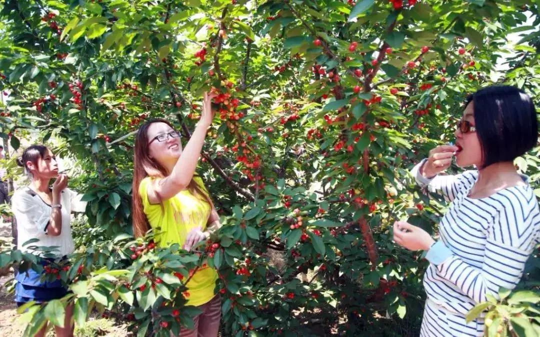 乳山乡村景点有哪些地方,威海乳山旅游好去处