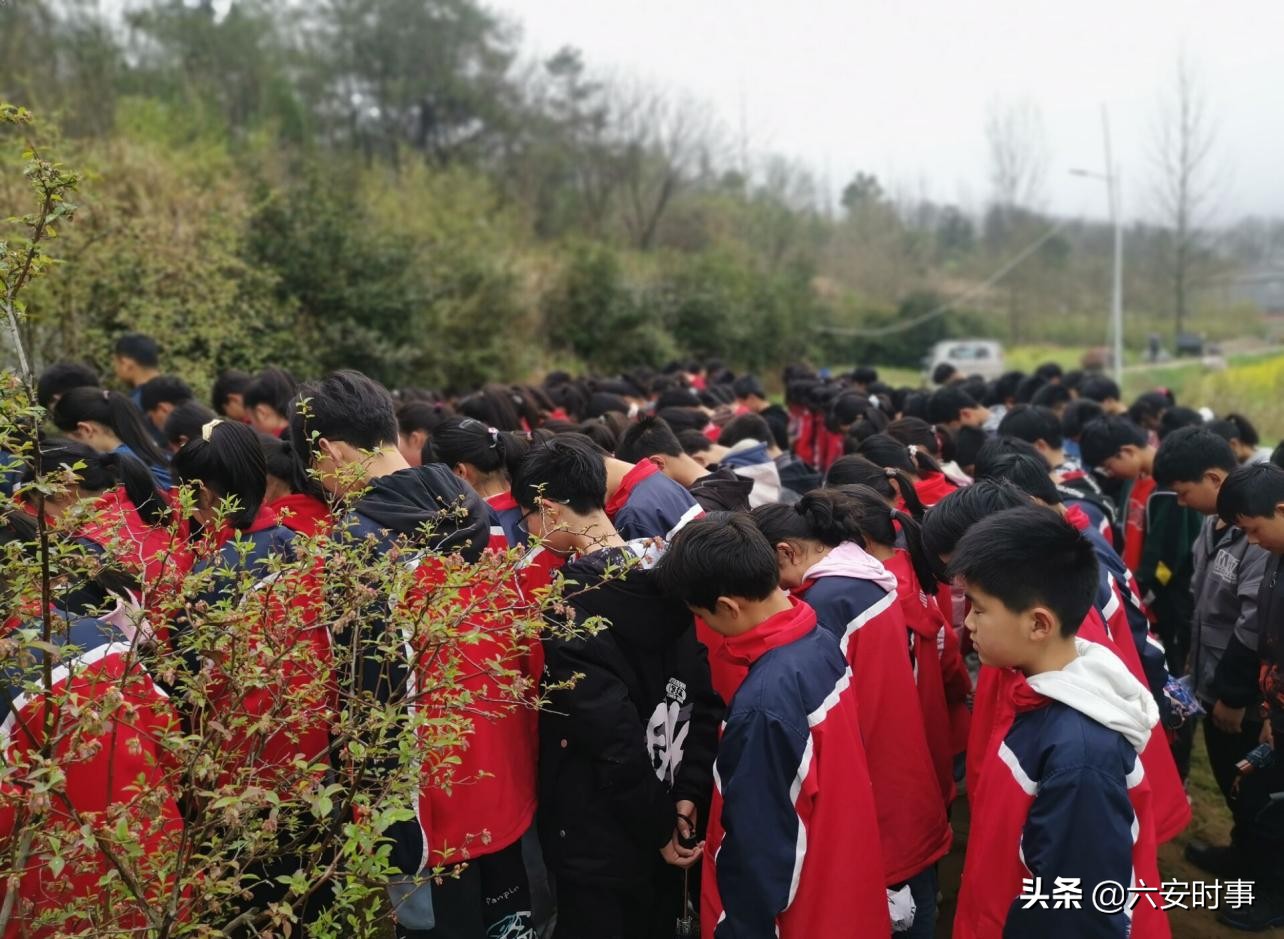 学校清明节祭扫先烈主题活动方案,学校开展清明节缅怀先烈扫墓活动