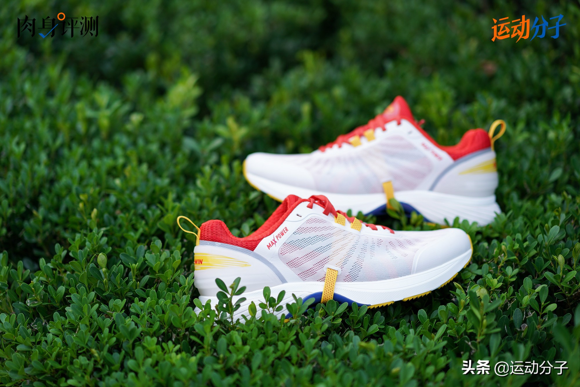 多威maxpower,多威max版