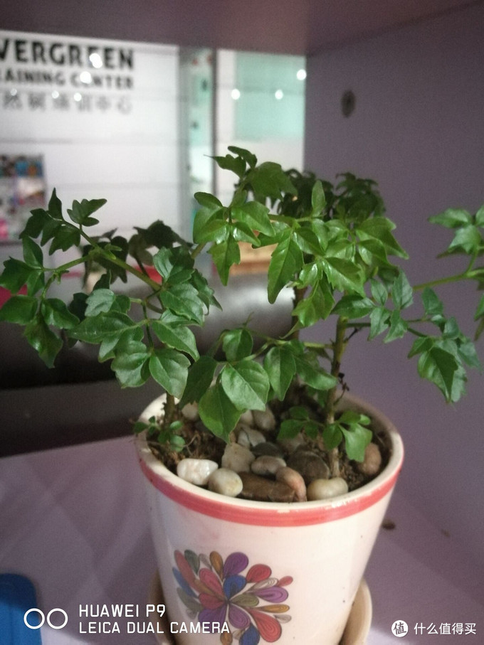 华为p9有多强,华为p9当年有多强