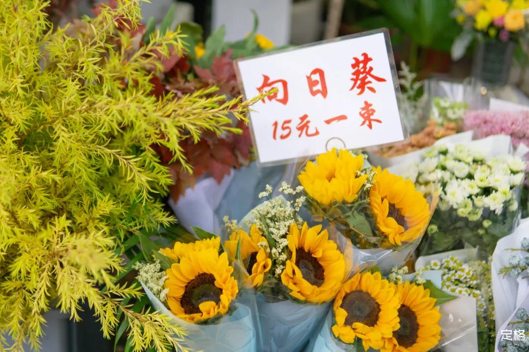 深圳周末打卡地点排行榜,深圳秋季打卡攻略