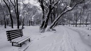 黑龙江省绥化市属于哪里,黑龙江省绥化市疫情