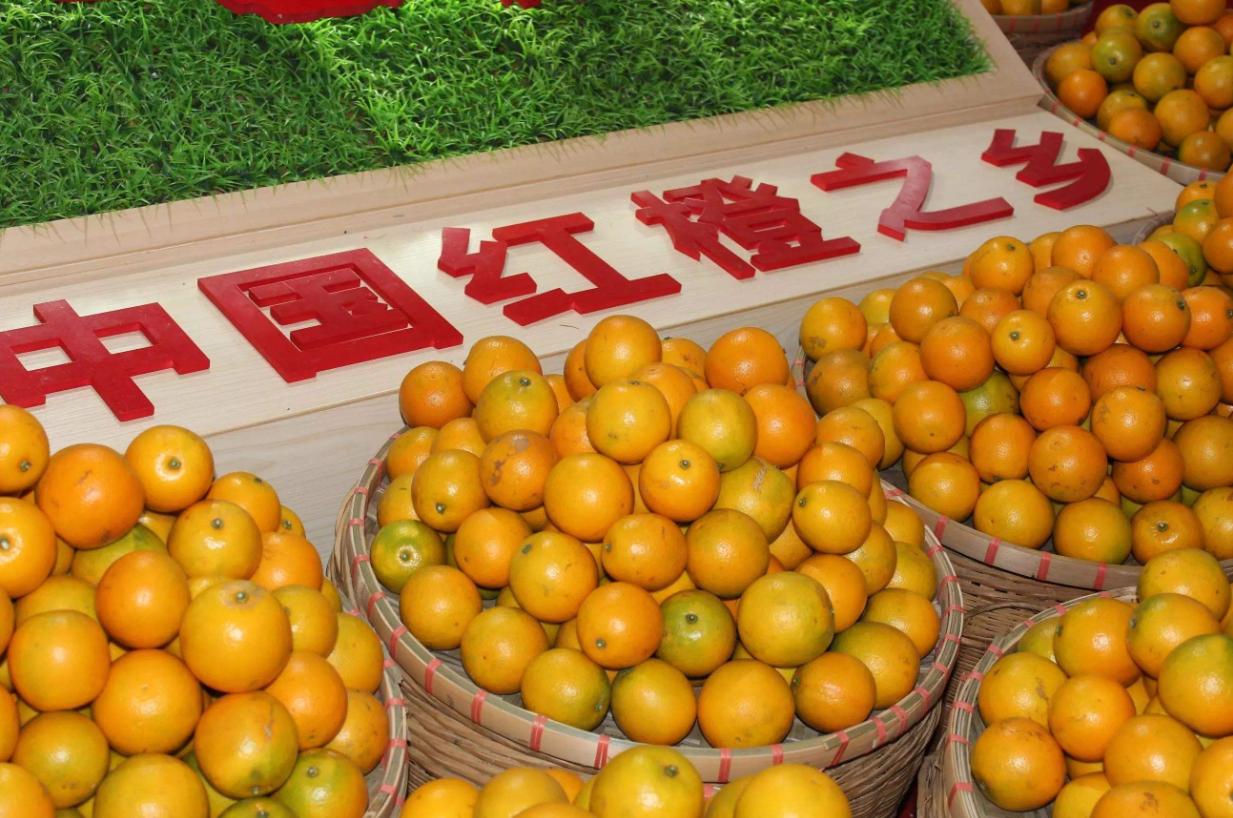 湖南橙子哪里产的最好吃,橙子怎么挑才最甜最好吃