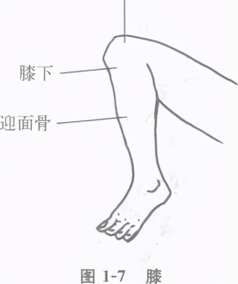 主动擒拿及被动擒拿术,擒拿格斗教学视频擒拿术