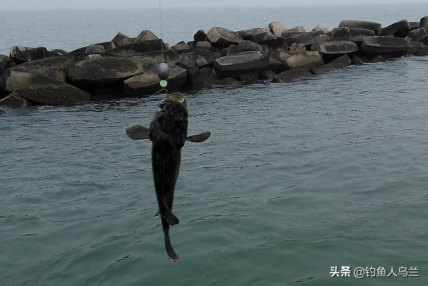 岸边钓鱼爱挂底？试试根钓，路亚中最好玩的钓法