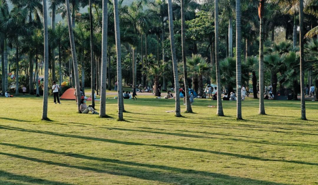 珠海为啥宜居,珠海被评为世界宜居之城