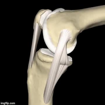 骑自行车膝盖有摩擦的感觉,骑自行车膝盖内侧疼是怎么回事