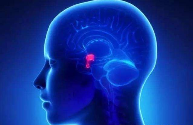 脑垂体瘤影响视力症状,生长激素性垂体瘤症状